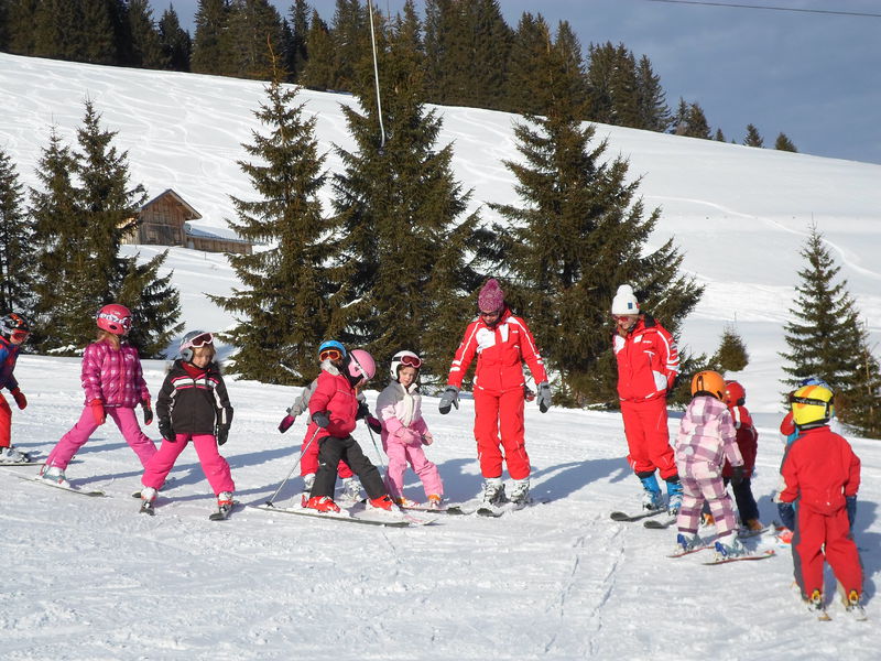 Alpine ski lessons 6-12 years