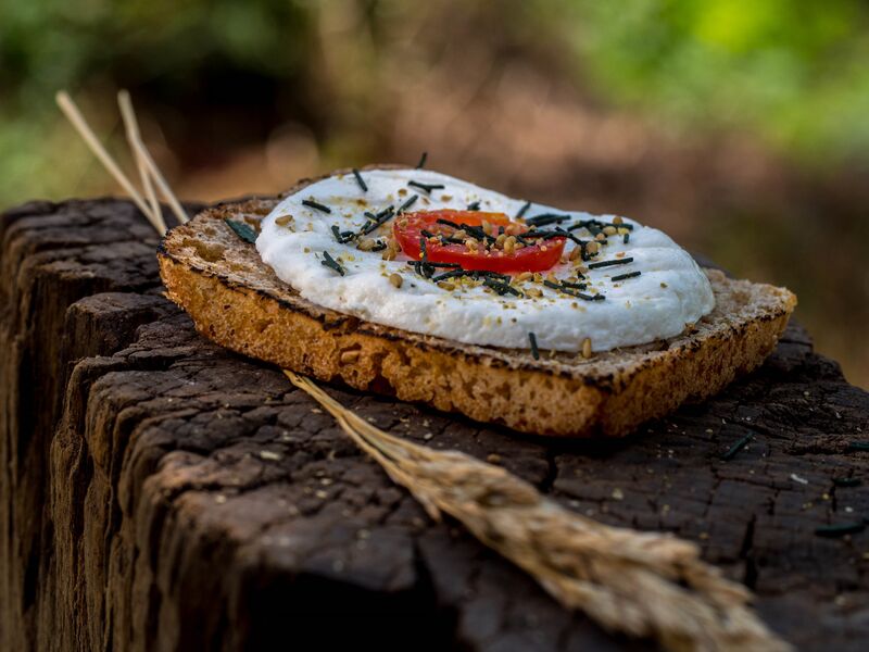 Dégustation: tartine de spiruline