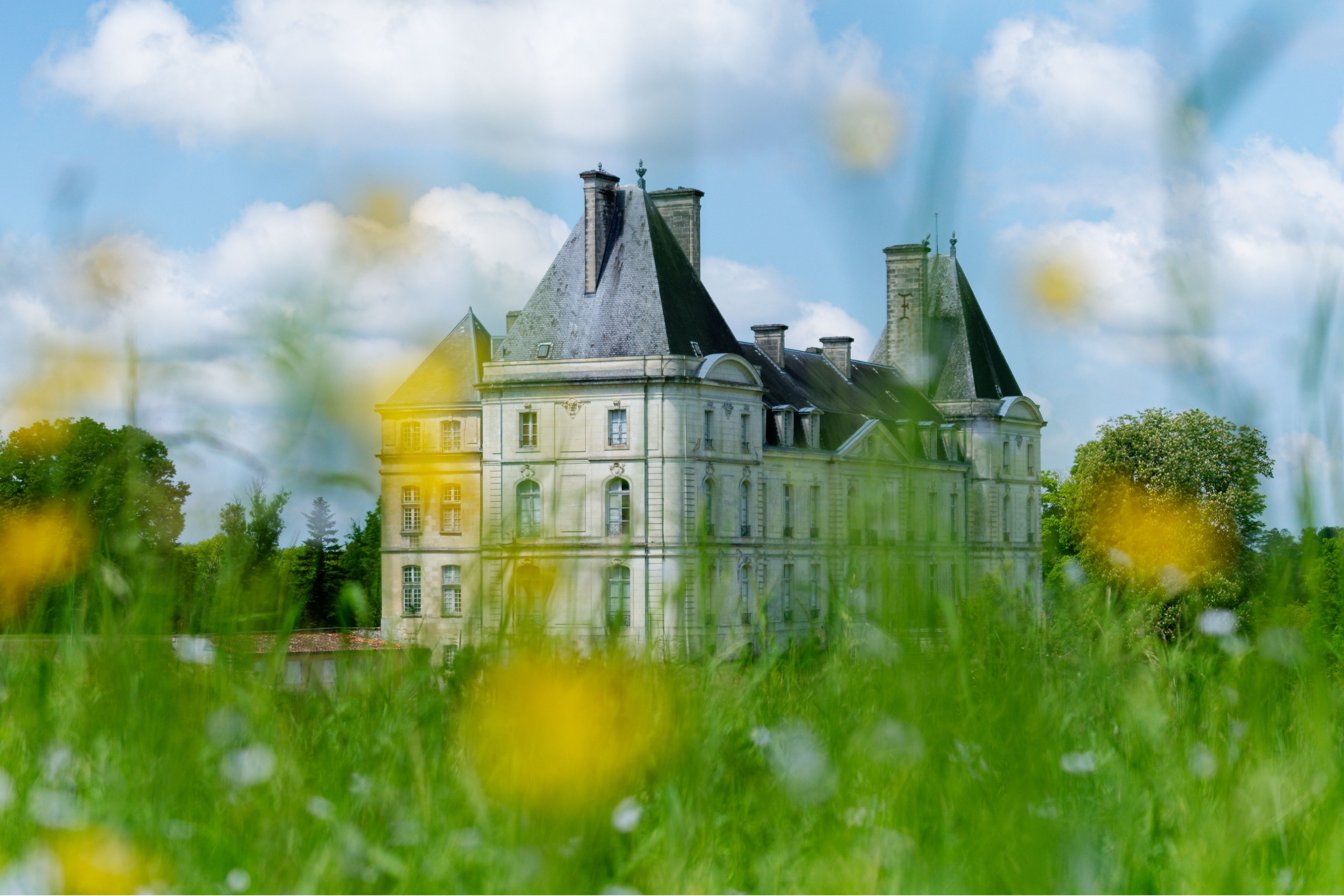 Animations - Château de Fayolle