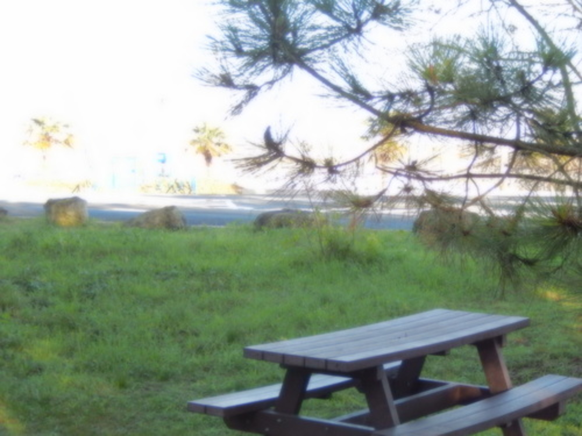 Aire de pique nique Port du Douhet