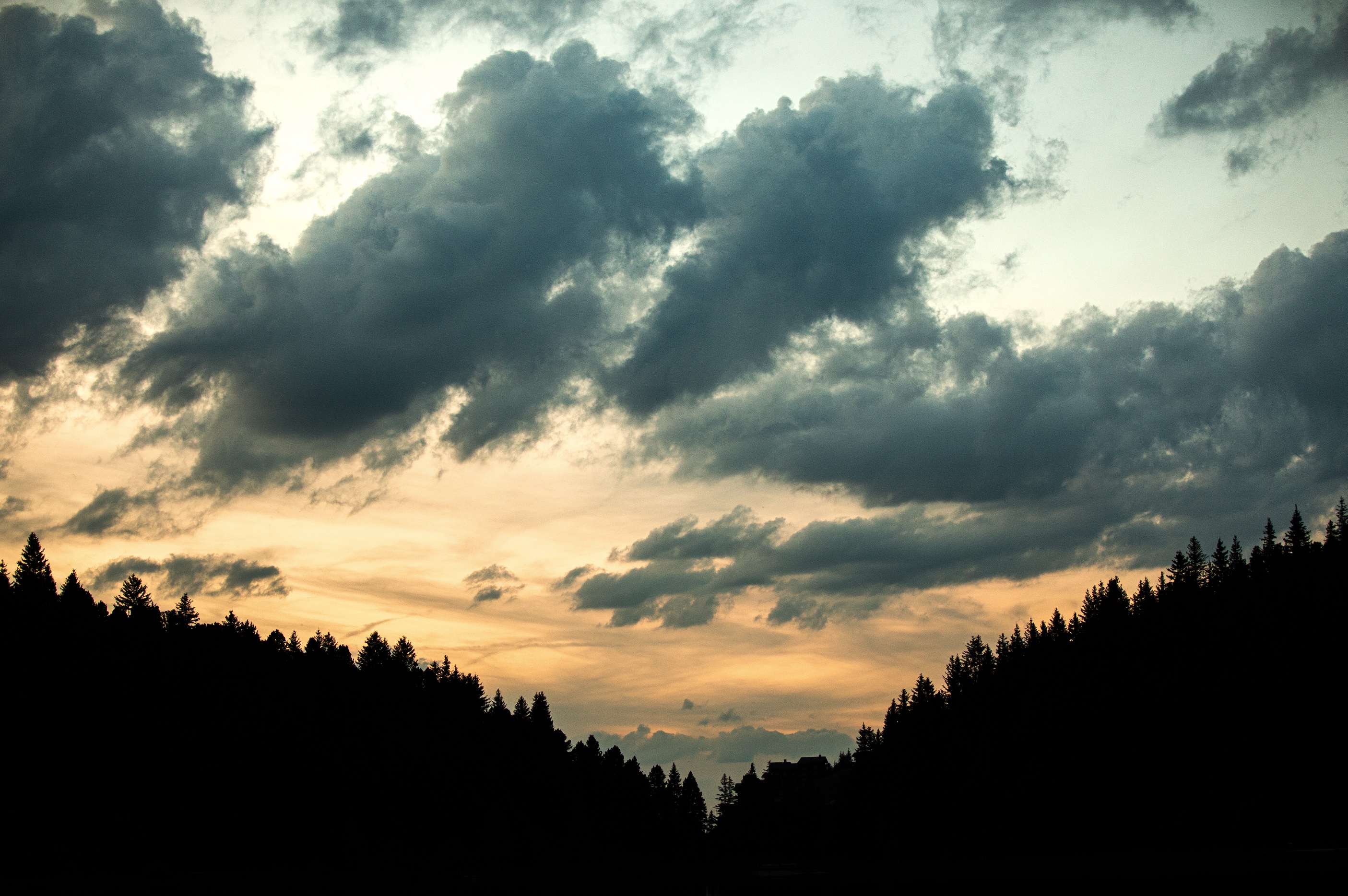 Discover the sky and walk in the forest