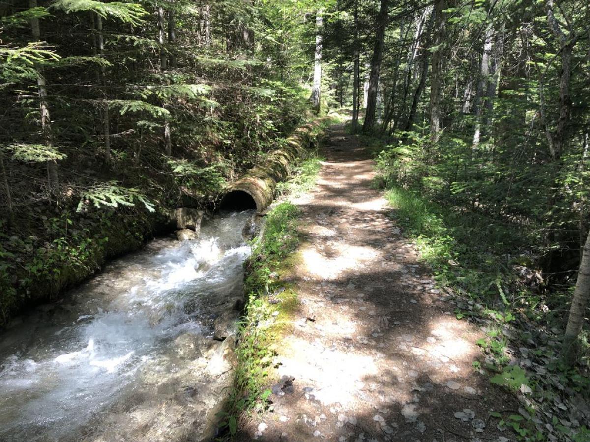 Sortie au fil de l'eau du canal de Gramorel