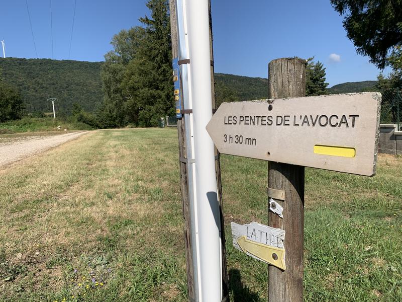 Randonnée - Sur les pentes de l'avocat