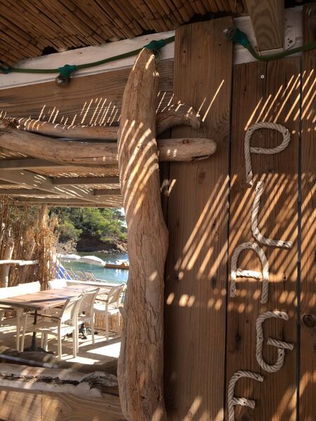 TAMARIS PLAGE plage de pramousquier le lavandou 5 (5)