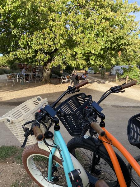 Deux vélos, un bleu et un orange, avec un panier avant.