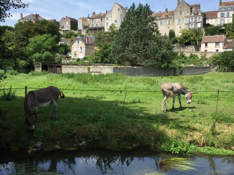 Vallée du Fusin et ses balades, au pied des anciens remparts