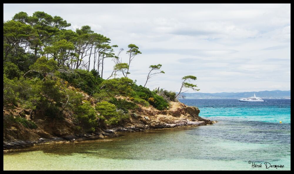 La plage Notre Dame - ile de porquerolles - hyeres