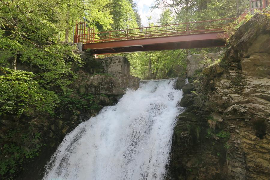Itinéraire pédestre : du Lac de Montriond à la Cascade d’Ardent_Montriond