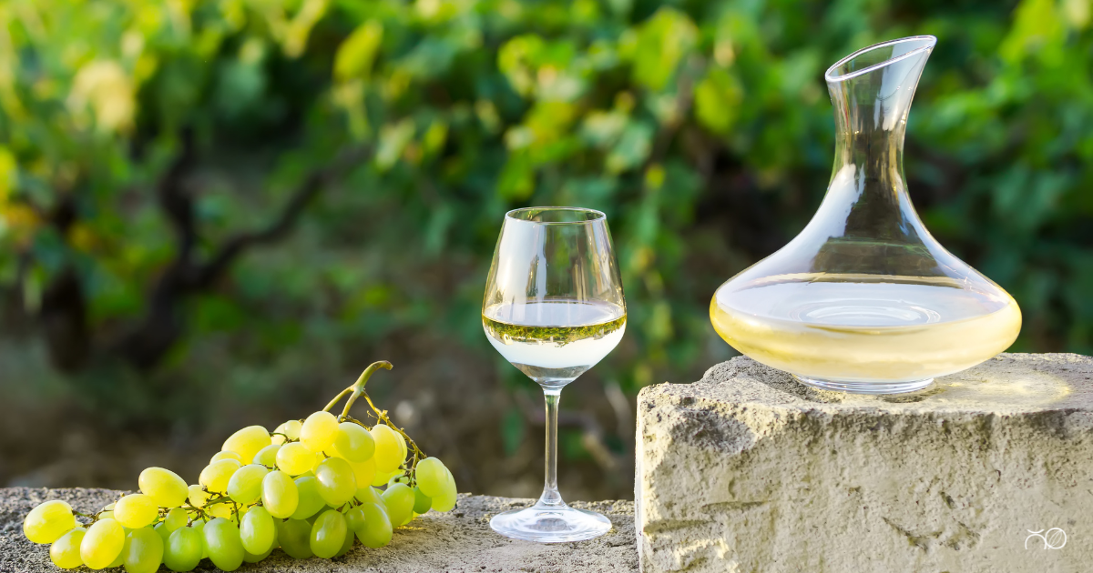 Balade Gourmande " Garrigue & Vignoble"