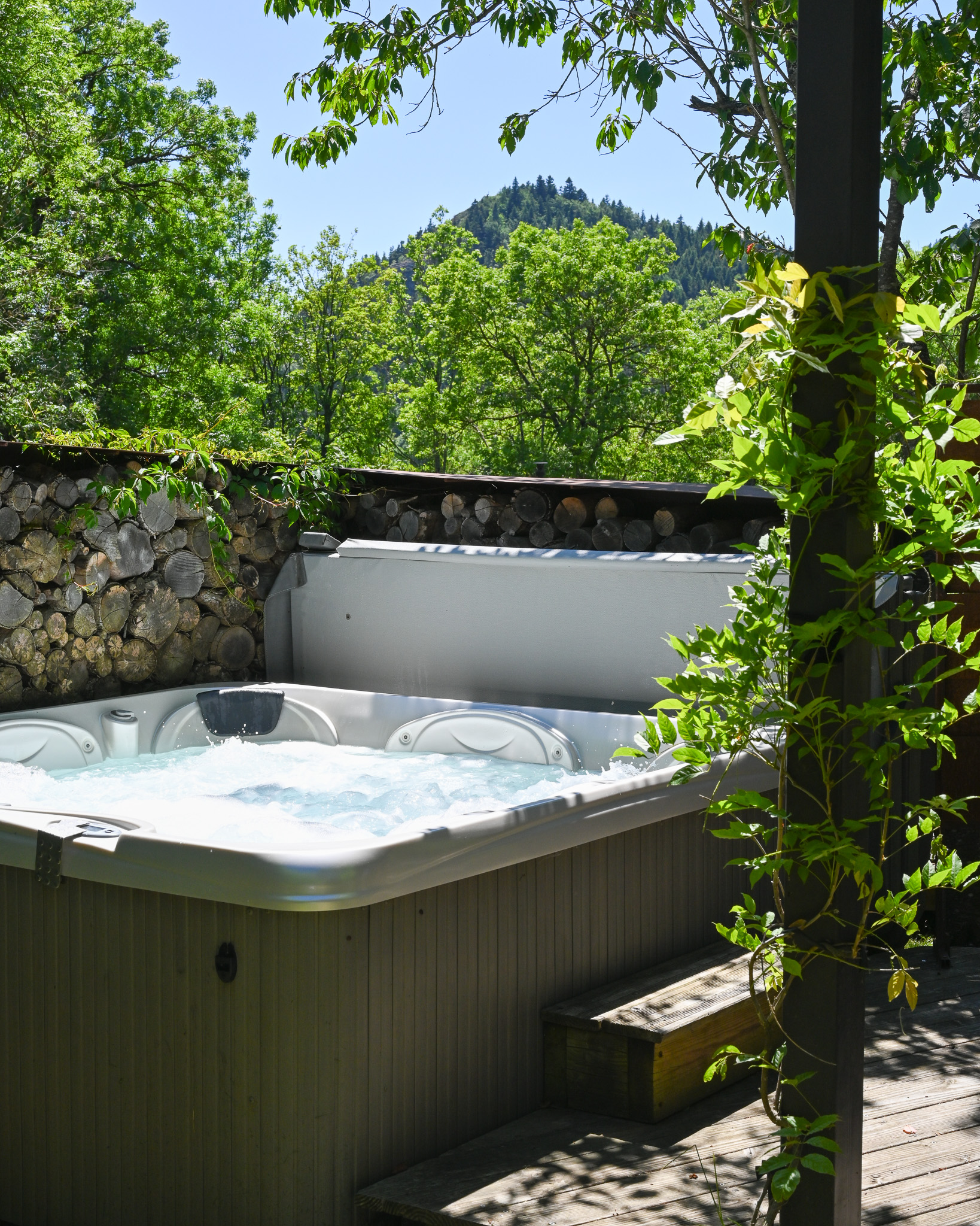 Photo 2/10 — Bulle « La Bulle de Pierre & spa — écolodge à Queyrières » à Queyrières Haute-Loire