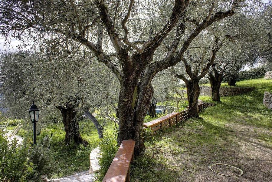 Les Oliviers de St-Jeannet- Terrain de pétanque - Gîtes de France Alpes-Maritimes