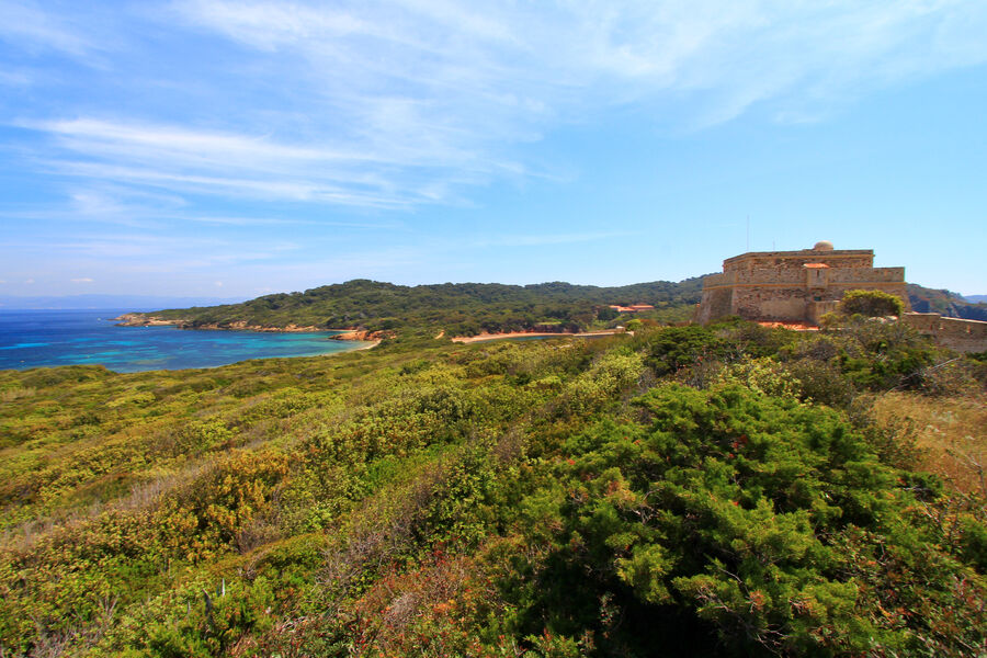 La plage du Langoustier à Porquerolles