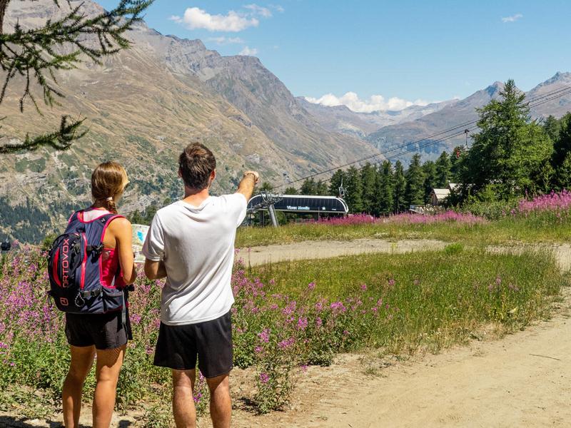 Ouillon des arcellins par la canopee des cimes_Val-Cenis