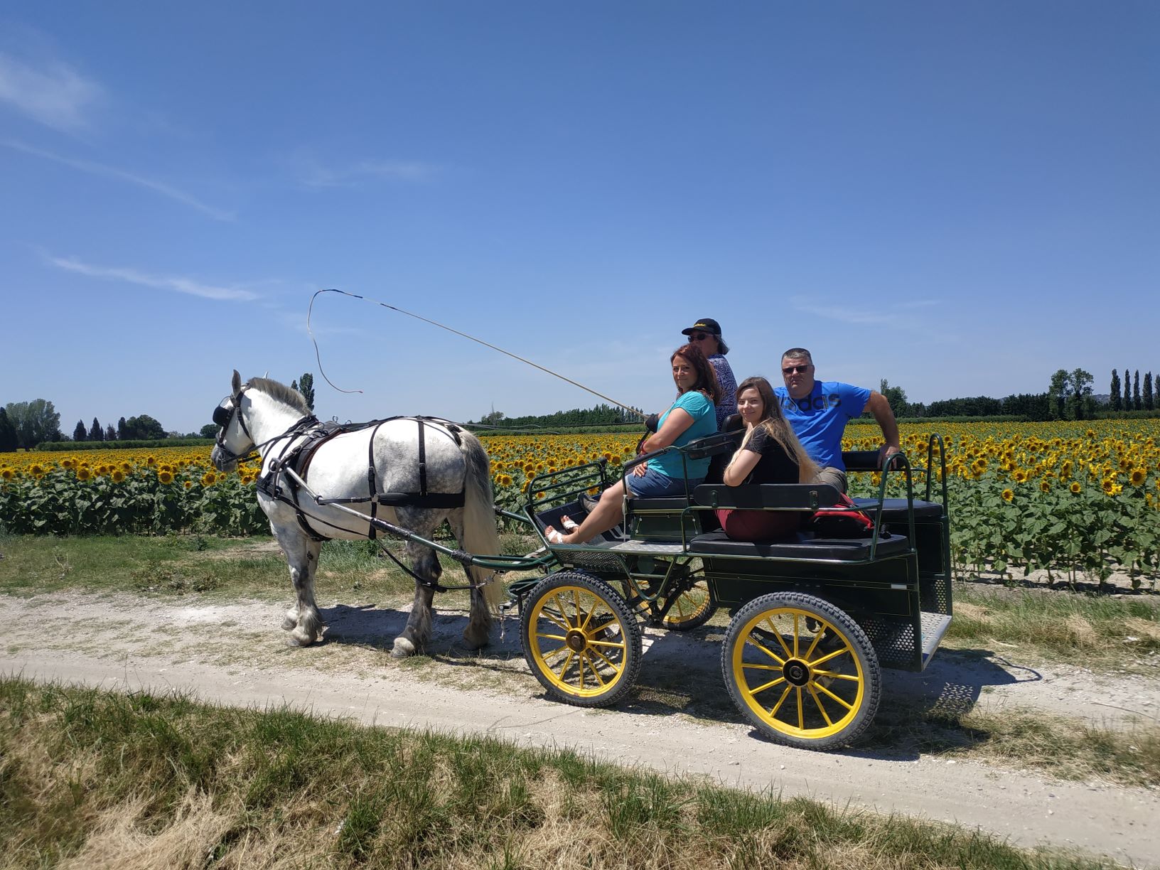 Les Calèches de Mado, Maillane - photo 3
