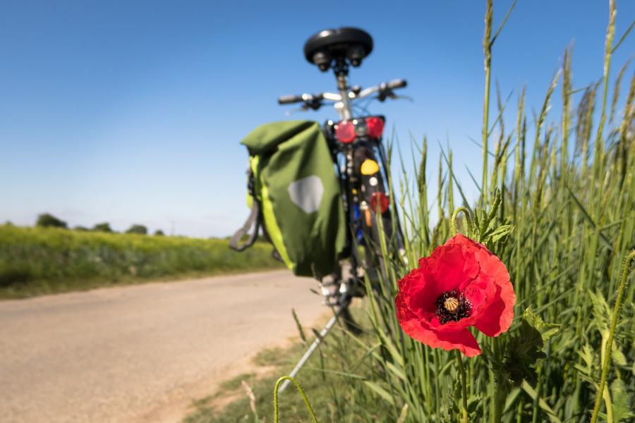 VDS mobilité - Réparateur
