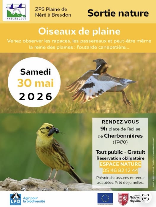 Sortie Nature - Oiseaux de la Plaine