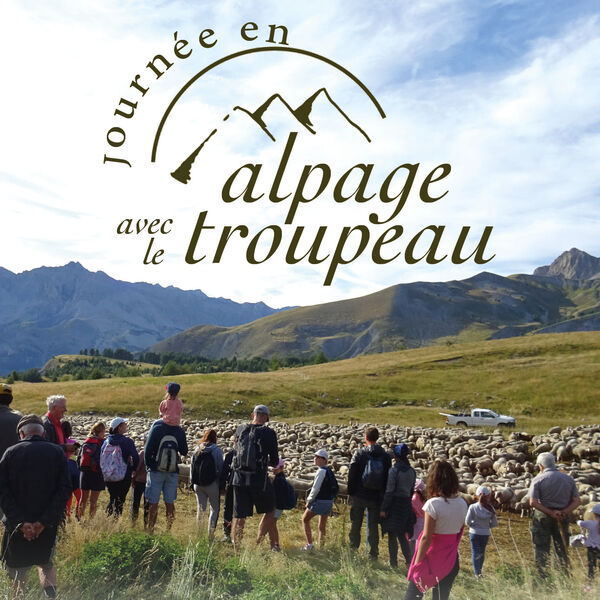Journée en alpage