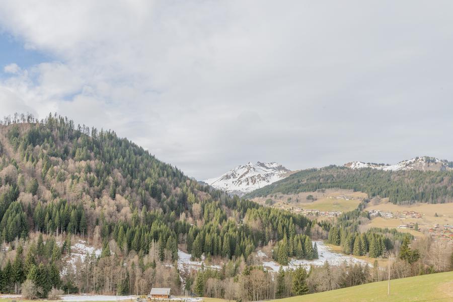 Chalet APY_Les Gets