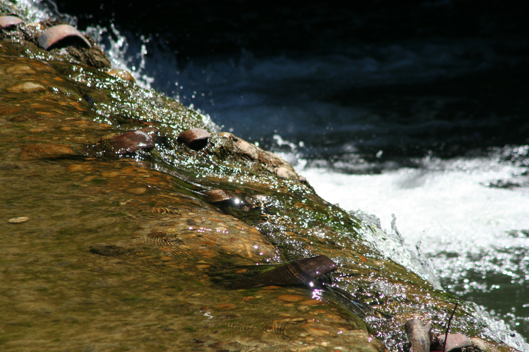 galaure à charriere (15)