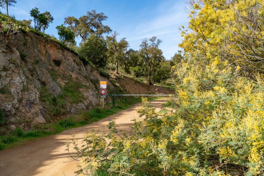 Randonnée : Sentier du mimosa - Vallon de la Gaillarde