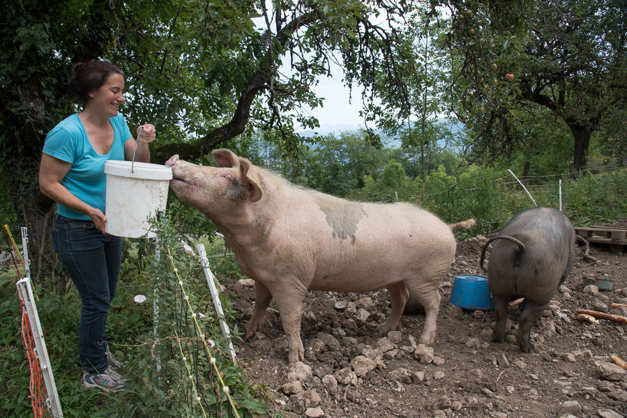 Ferme de Bartabelle