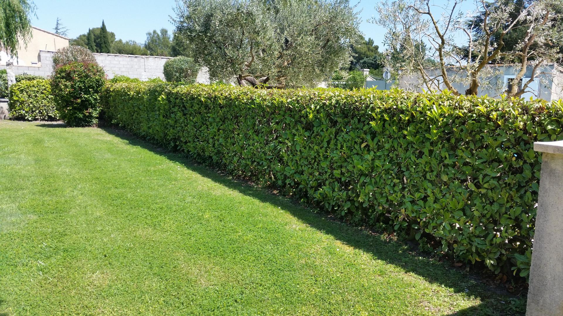 Le Gîte d'Alice, Mouriès - photo 28