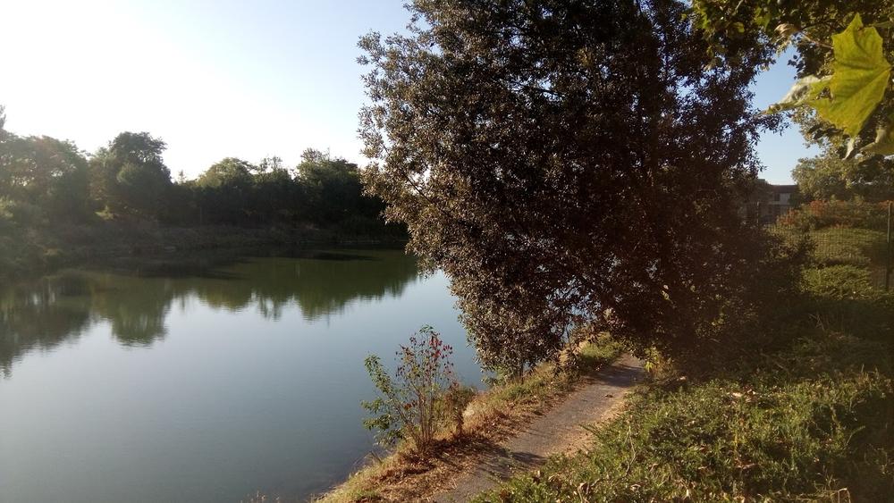 Plan d'eau et arbres