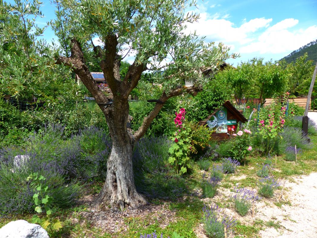 Entrée du gîte.