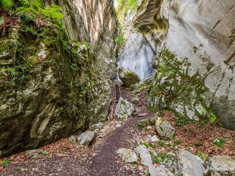 Balade des Gorges des Tines