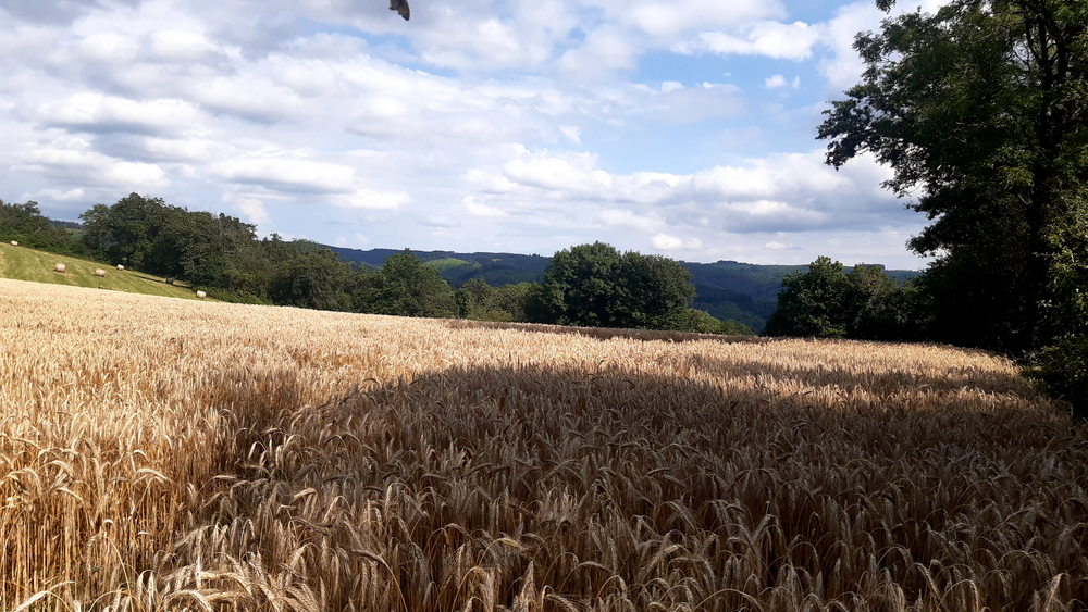 Randonnée du Camin Traversut