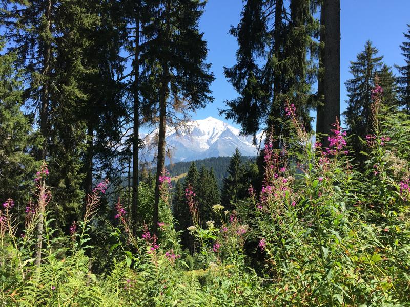 Fleurs et vue Mont-Blanc Fleurs et vue Mont-Blanc