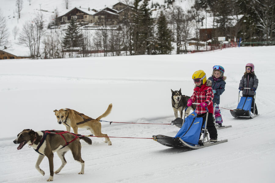 Kid - Traineau - dog sledding for kids