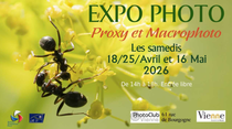 Exposition de photographie : Proxy et Macrophoto_Vienne
