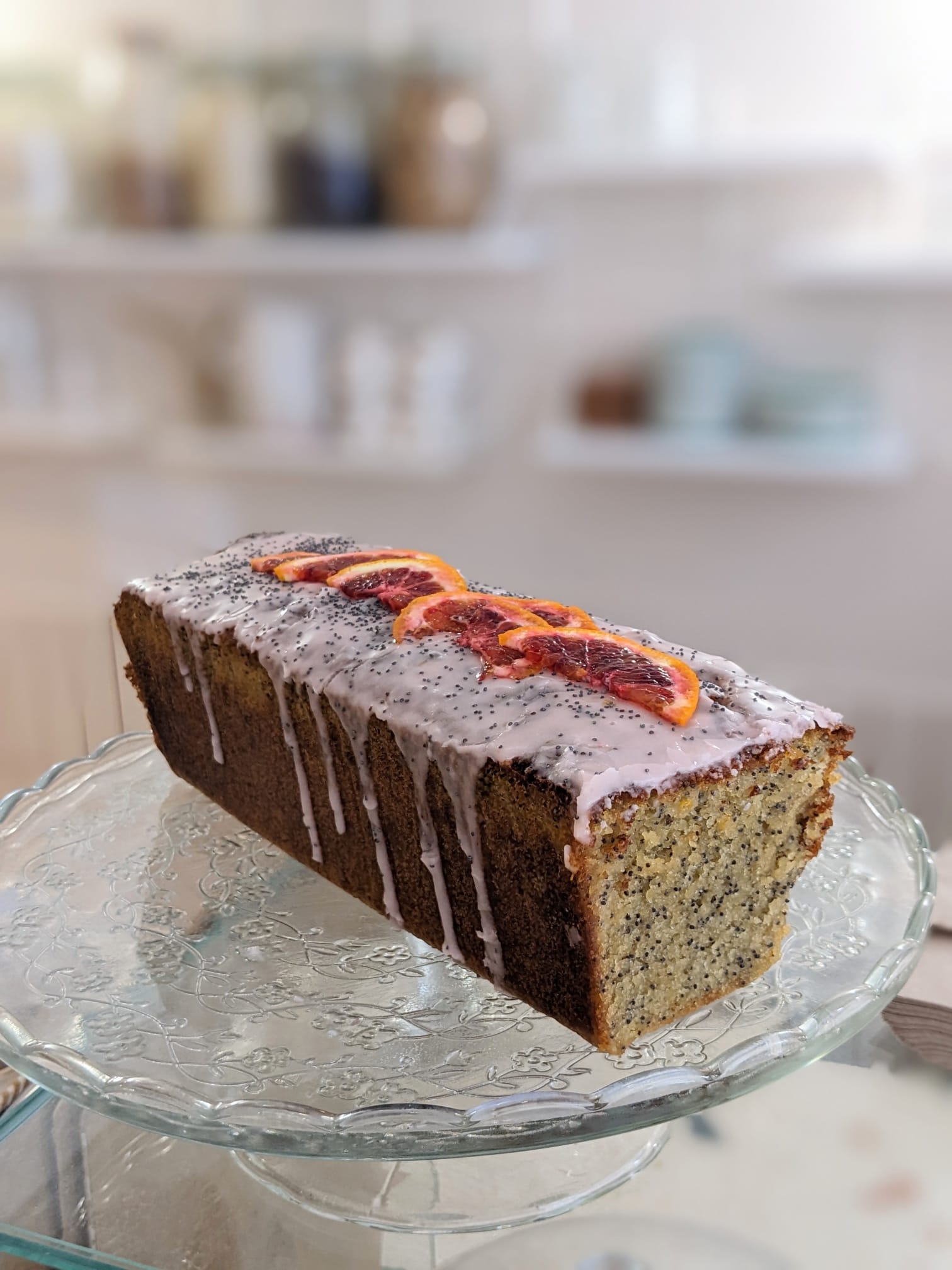 Succulentes Café - photo 3