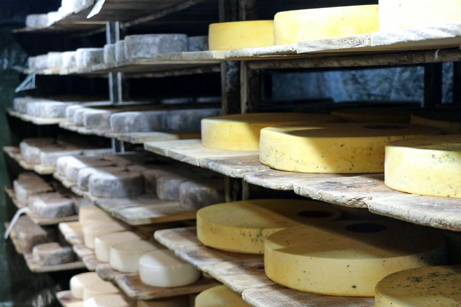 Rencontre à la ferme : visite guidée_Val-d'Isère