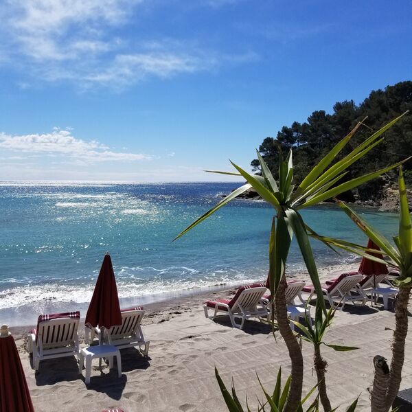 TAMARIS PLAGE plage de pramousquier le lavandou 5 (5)