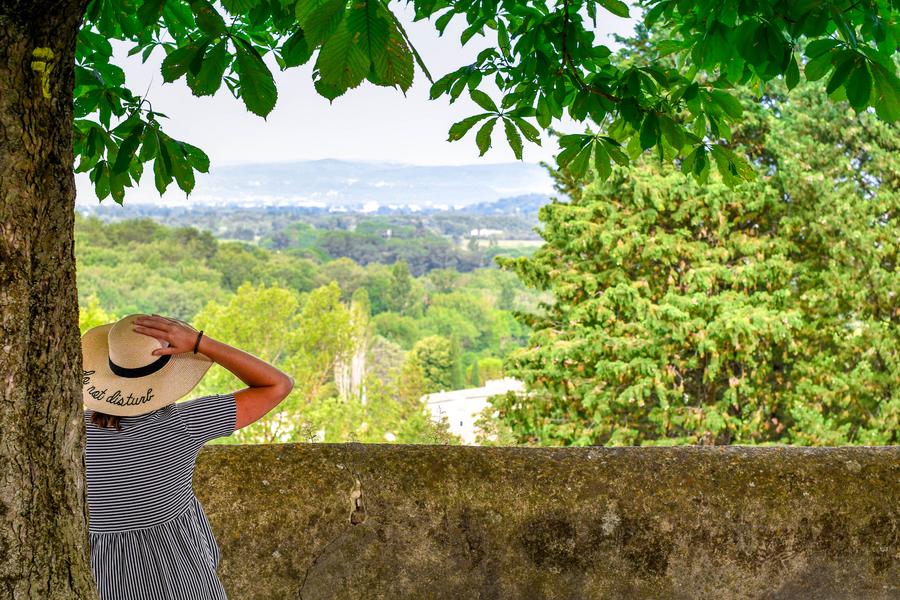 Balade découverte des plantes sauvages, arbres et arbustes du village de Puygiron_Puygiron