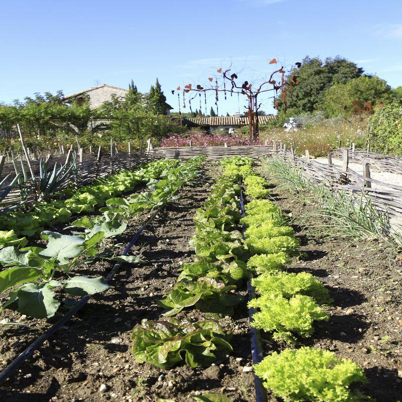 Mas des Figues, Saint-Rémy-de-Provence - photo 76