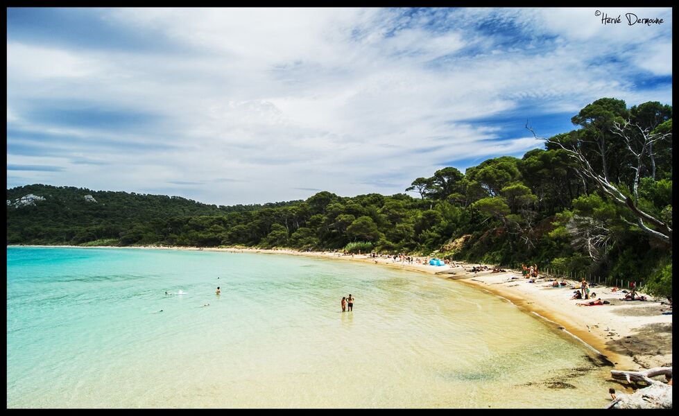 La plage Notre Dame - ile de porquerolles - hyeres