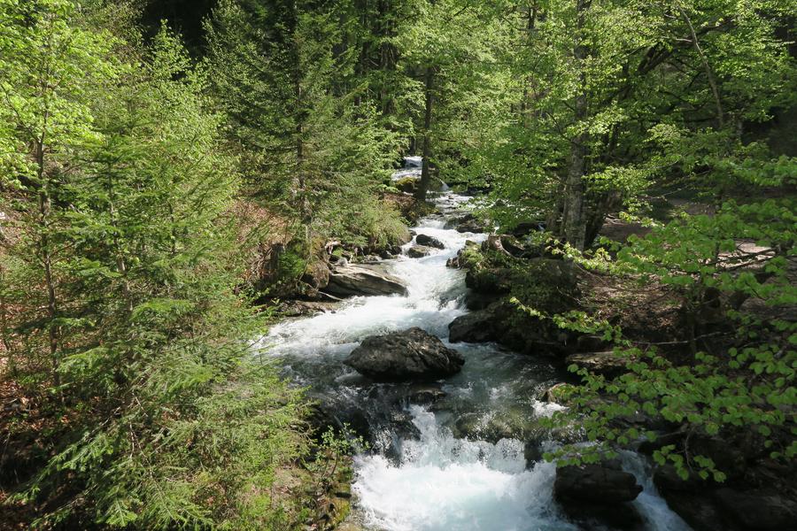 Itinéraire pédestre : du Lac de Montriond à la Cascade d’Ardent_Montriond