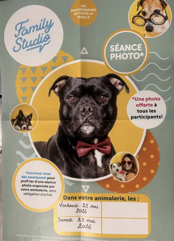 Séance photo dans votre animalerie