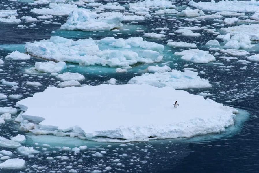 http://La%20crise%20climatique%20et%20l'avenir%20de%20notre%20histoire