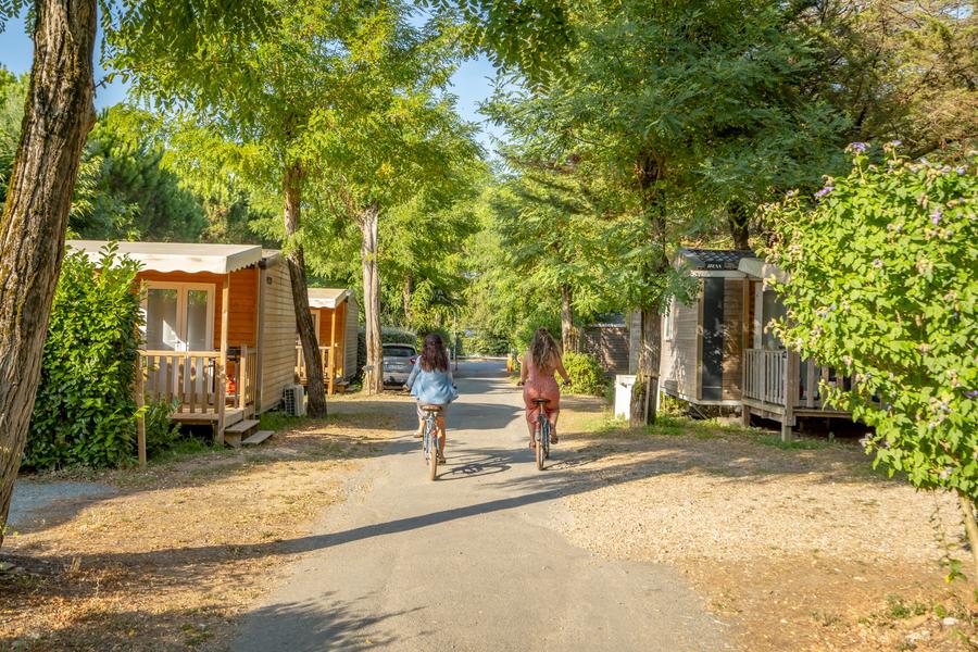 les allées du camping