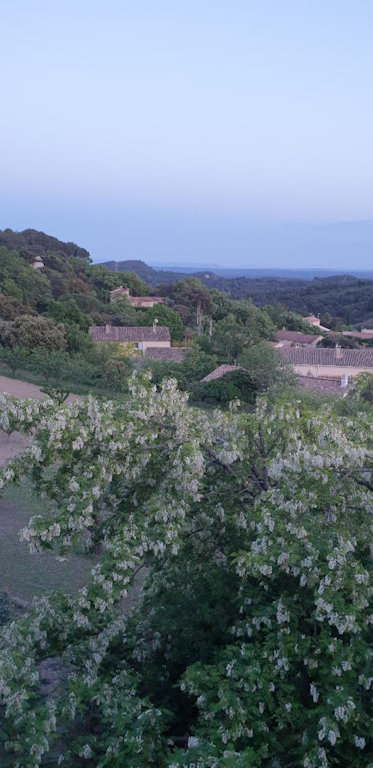 Le Mas des Apiès, Vernègues - photo 7