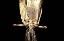 Les filles ne sont pas des poupées de chiffon – Compagnie La Rousse_Grenoble