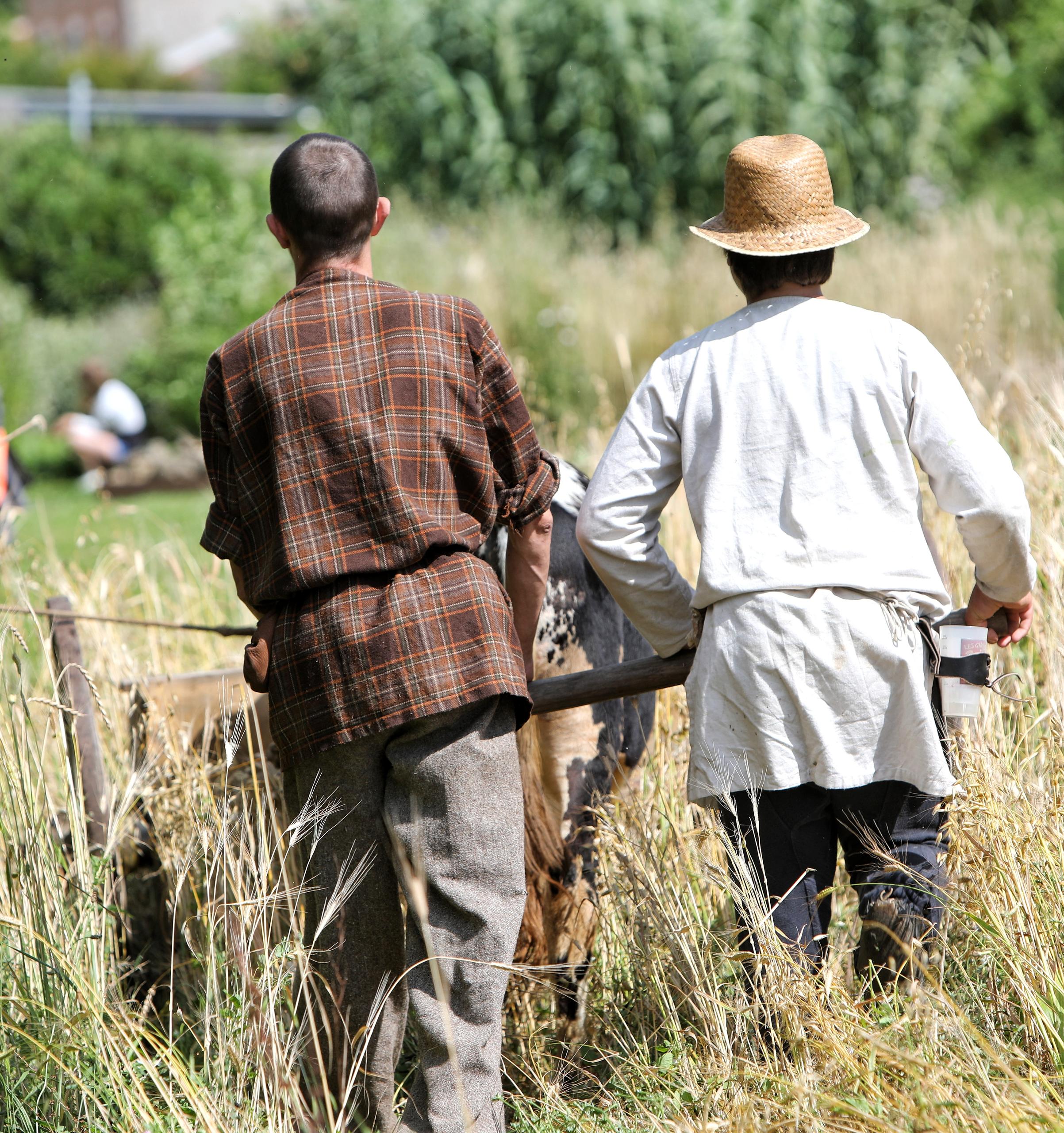 L'histoire est dans le pré
