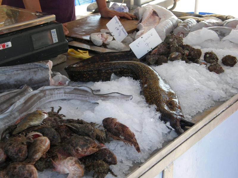 Marché aux poissons de Carro_Martigues