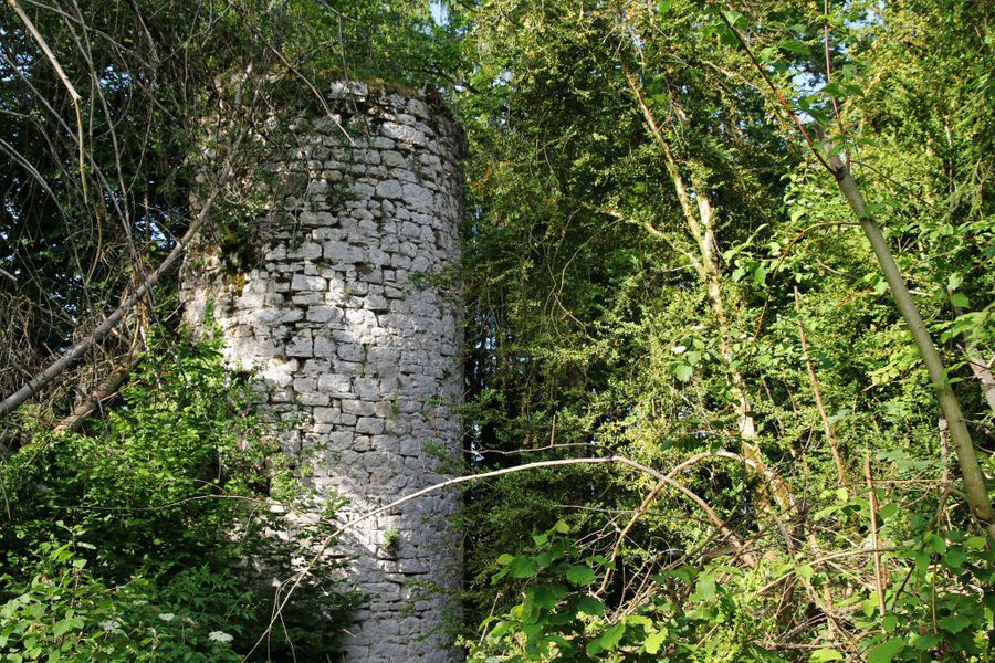 Château ruiné de Mont Didier
