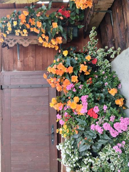 Ferme alpage de la Vieille