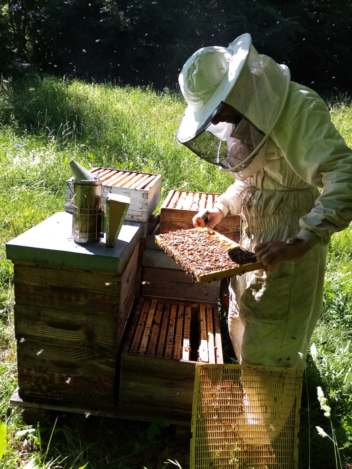 Christophe Benvenuto — Producteurs & Artisans à Var
